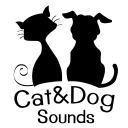 gallery/catanddogs512eng
